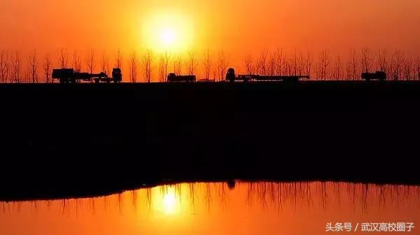 武汉30个春游免费景点大集合!踏青、骑行、拍照来这里就对了!