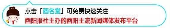 龙潭一村干部涉嫌严重违纪违法接受纪律审查和监察调查！后坪一村