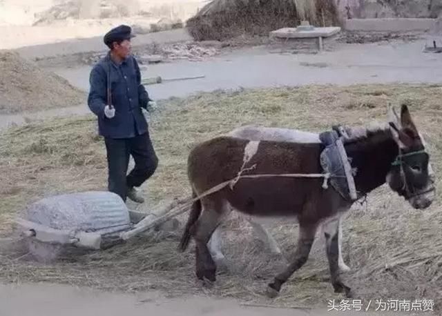 紧急通知！伊川、宜阳、嵩县各乡镇的洛阳人请速回老家！因为……