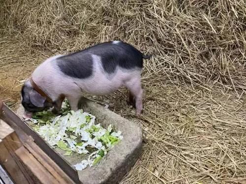 长沙高铁有几个高铁