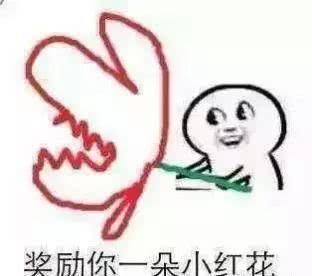 t0177ec8623a47aa9c0.jpg