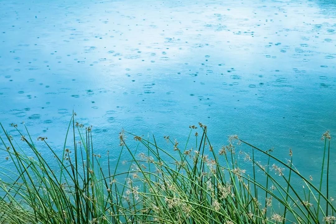 今日惊蛰 天气回暖春雷始鸣万物复苏