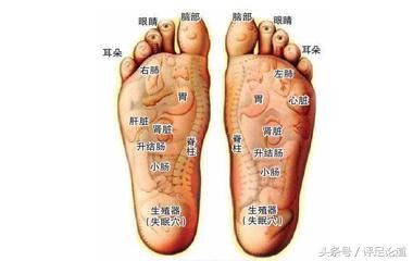 足部养生的重要性,足让你大开眼界!关注美足养