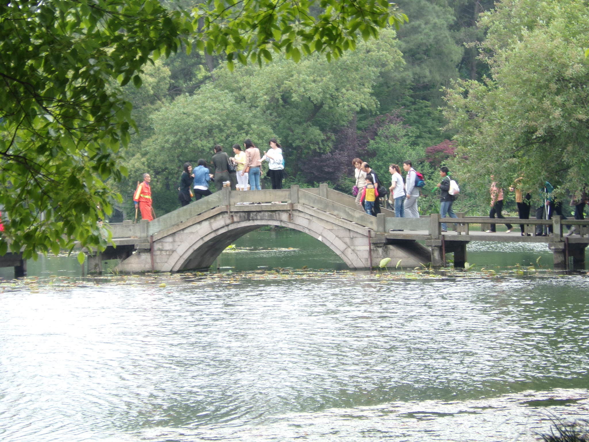 杭州西湖美景,晴湖不如雨湖雨湖不如雾湖,雨中西湖朦胧如诗如画