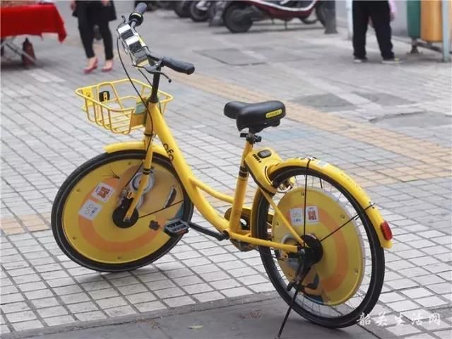 韶关来了电动共享单车!还有肌肉车、公主车、