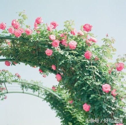 别人必赞必评论的说说短语,句句经典走心,你不