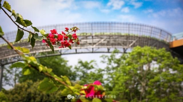 有福之州：国际建筑大奖居然藏在深山里