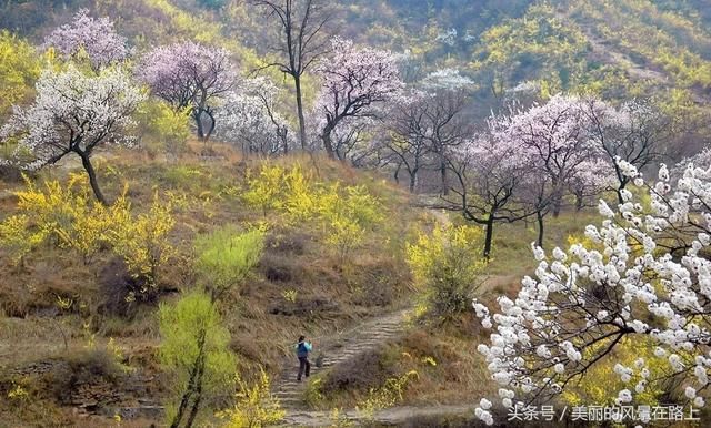清明节假期◆世外桃源 林州马鞍垴、太行平湖、蚁尖寨休闲之旅