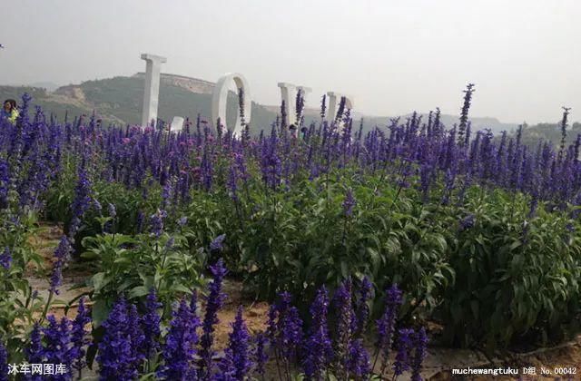 荐读：无法重来的一生