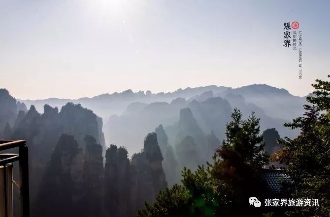 张家界旅游攻略:张家界值得一看的景点，个个都是世界之最!