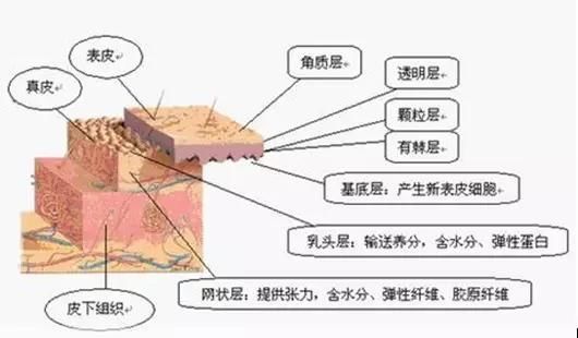 最全网上护肤和化妆的谣言逐一击破,别再毁你的脸了!