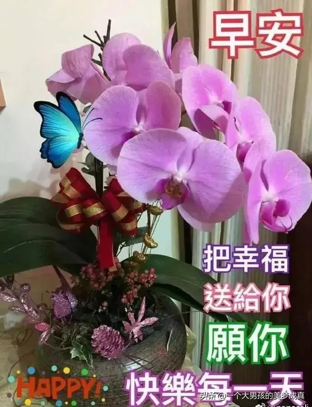 清晨问候早上好祝福动态图带字,温馨的早上好