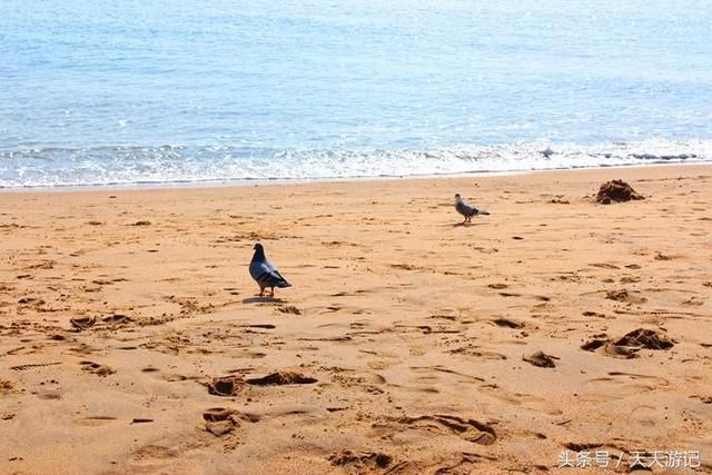 厦门:厦门旅游详细攻略,厦门旅游十大景点