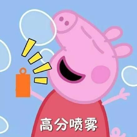 自考本科毕业后,如何申请学士学位证书?