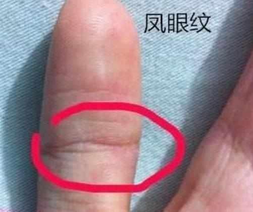 百年难遇的手相，男有贵气女有财气，一辈子注定是有福之人!