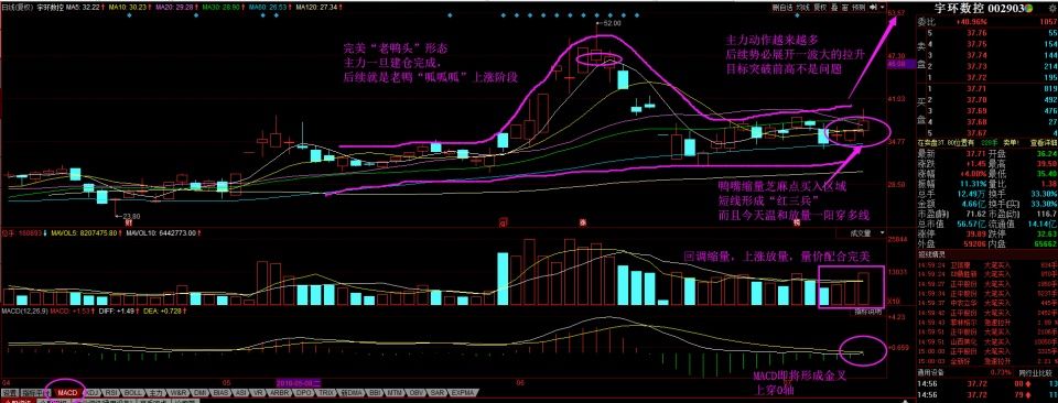 第一龙头,形成老鸭头暴涨形态,股民:明天满仓买