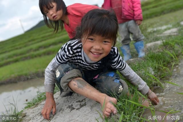 二胎政策放开出生率却很低,专家不解,老农三个