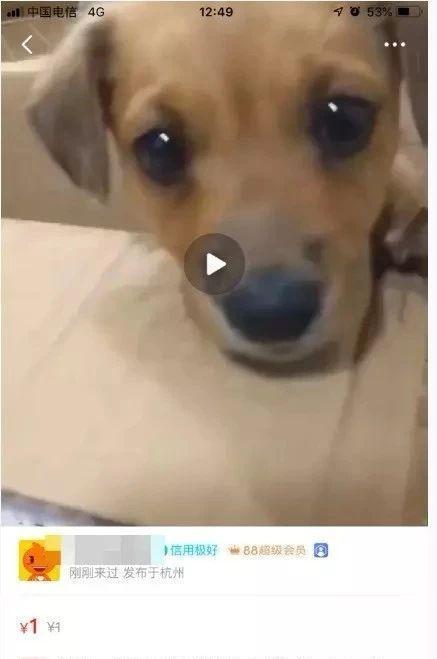 闲鱼卖东西安全吗