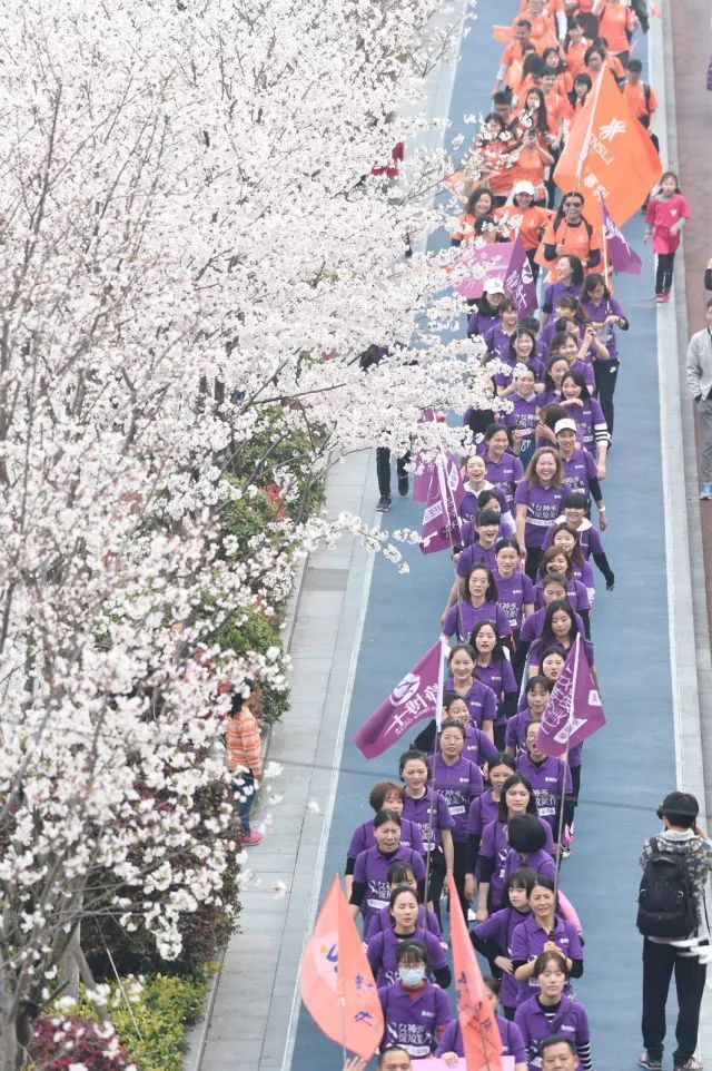 5000人一起徒步看樱花？！人从众，花美，人更美！