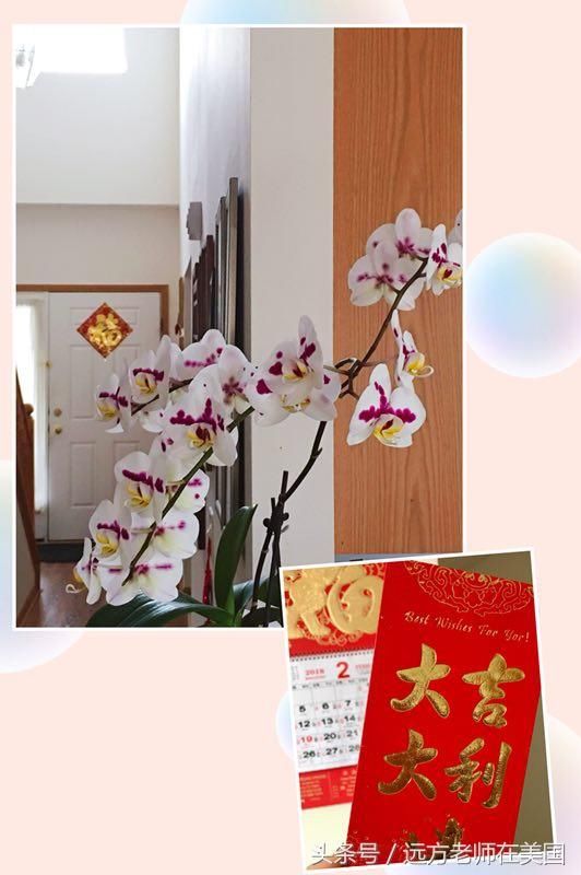 远在美国,家里也要有中国年味儿