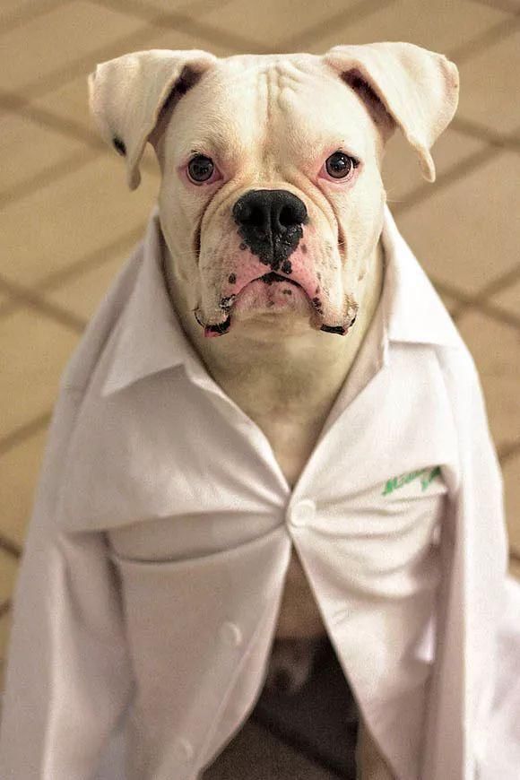 跟着我的左手右手,一个慢动作,喵星人表示已成为tfboys的铁粉!