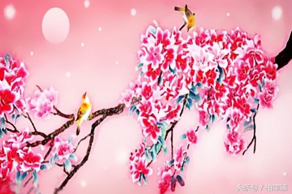 有一得必有一失，一生得失总是零