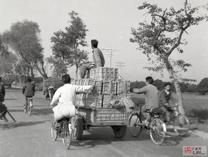 满屏回忆 看台州上世纪80年代衣食住行