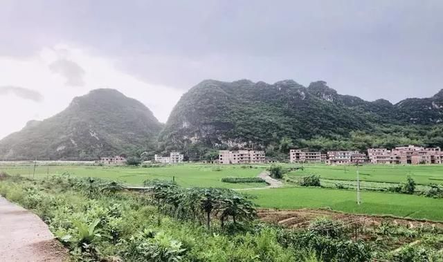 美美美美!广东罗定深藏着一个“世外桃源”般的田园~