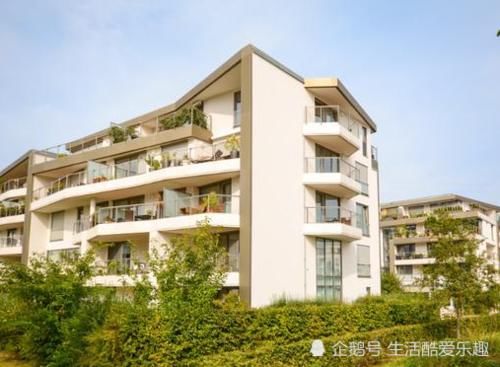 基本户和一般户