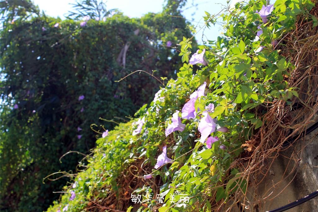 厦门市十五届人大五次会议