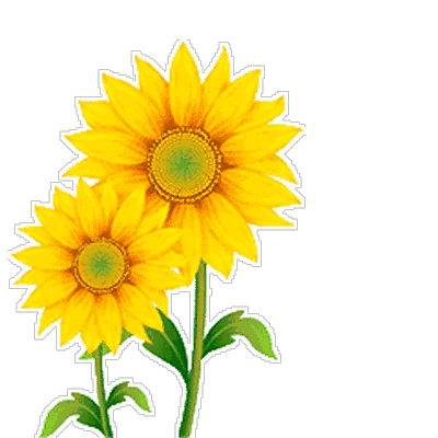 5.3最美早上好问候语图片带字,早安祝福语动态