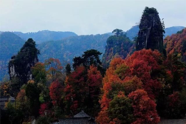 “森”呼吸！四川这5个县(区)会“氧”你