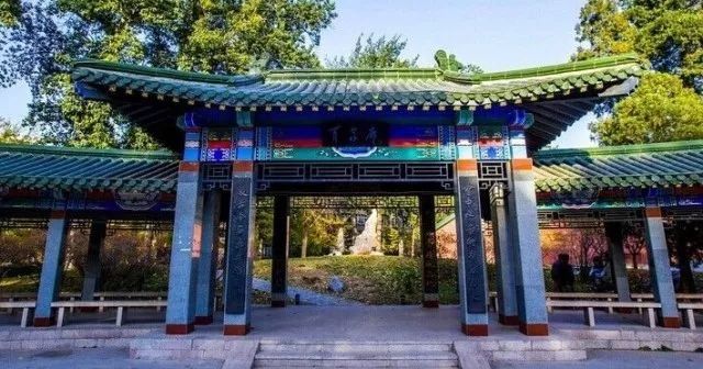 勤奋、沉稳与青春--教师代表赵玉兰老师在中国