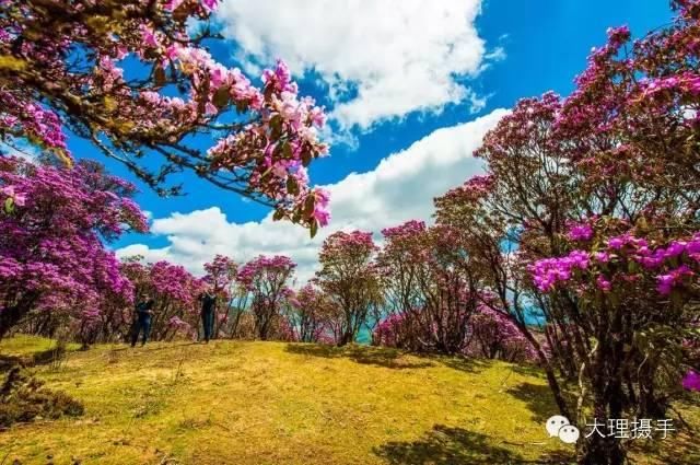 大理到丽江的路上，竟隐藏着一处绝世美景，美到你窒息