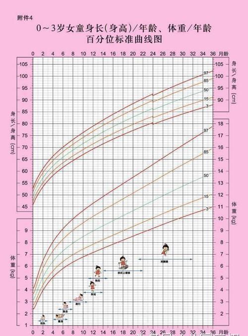 公司注册号是什么