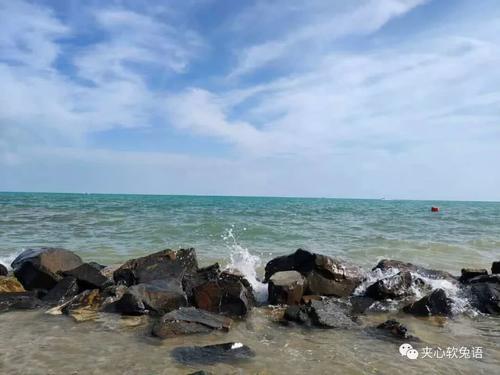 日出-青海湖-油菜花--难忘高原行