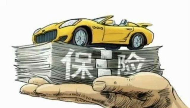 打临牌需要什么资料