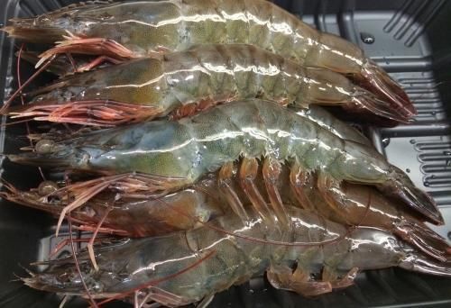 别再用牙签去虾线了,卖虾老板教我这样做,不用任何工具3秒一个