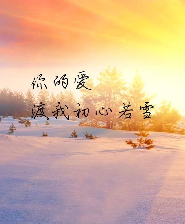 你的爱，渡我初心若雪