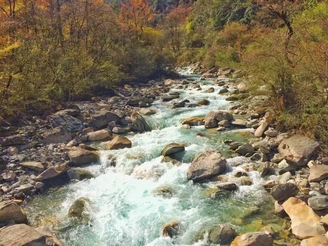 清明踏春冷门景点：看彩林、赏桂花，观峡谷，玩雪水，拒绝人挤人