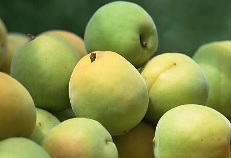杏子的功效有哪些 吃杏子对身体有怎样的好处