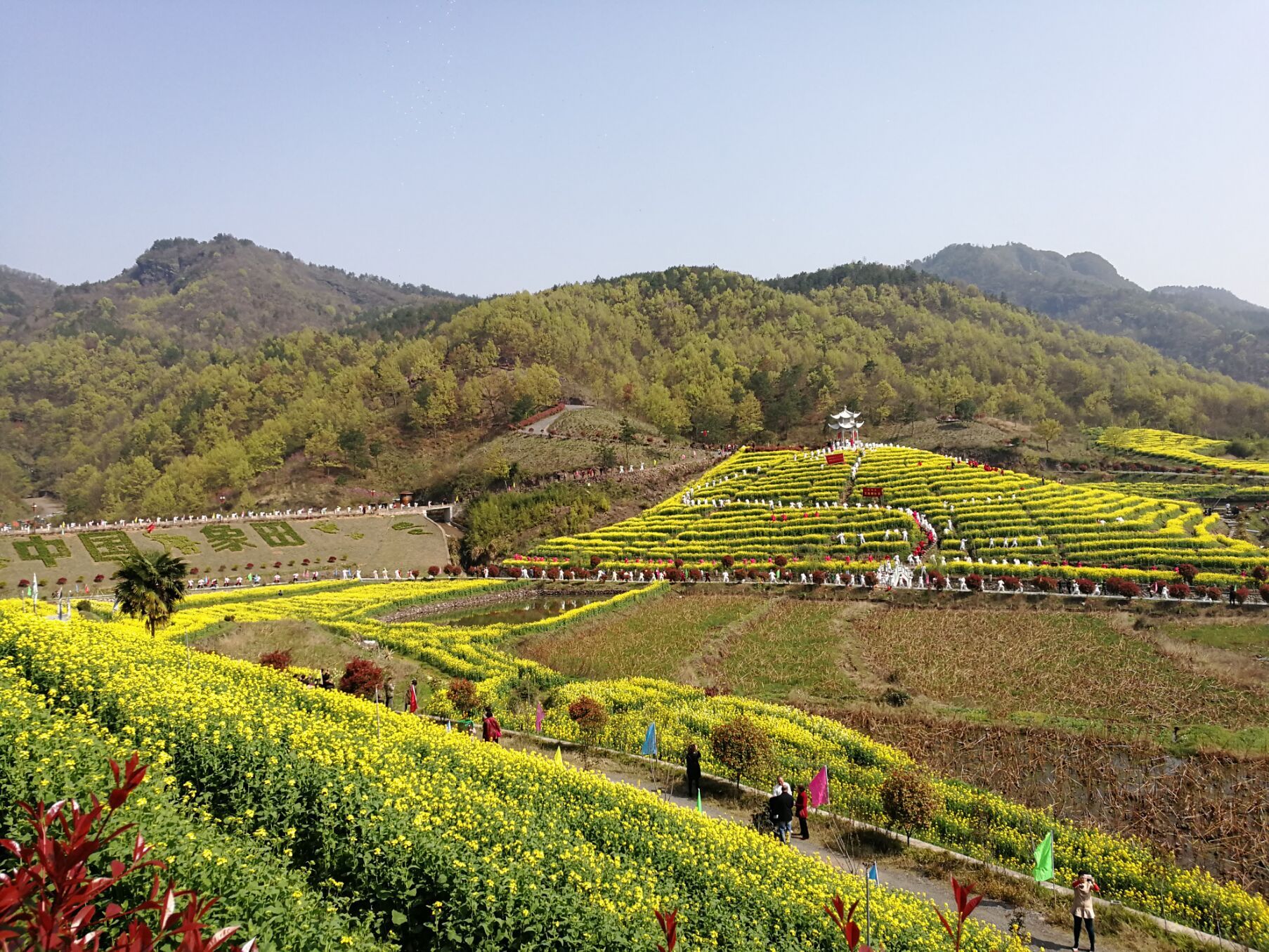 600亩油菜花海等你来嗨 东阳启动春季乡村休闲旅游节