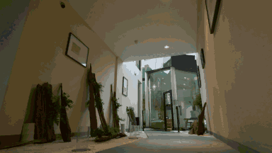 这里装下了整个西塘