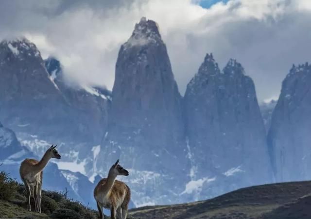 世界最佳旅游冒险目的地:智利