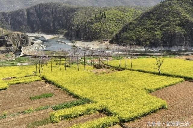 农村老话说的好：“有钱不买河边地，有钱不娶活汉妻”什么意思？