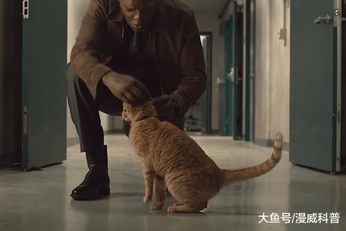 漫威真细节!《惊奇队长》第二个彩蛋,早在《复