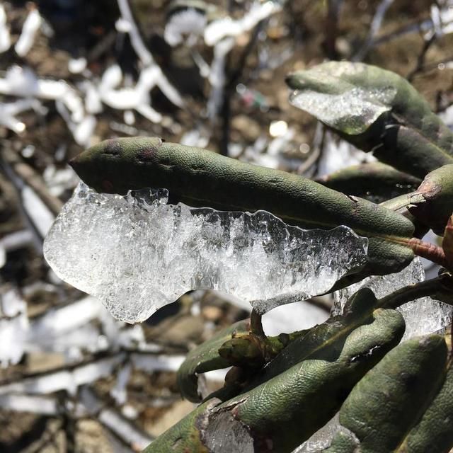 白色武功之龙山村-发云界-金顶-索道