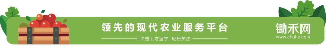 文化新地标 | 国内首家芦笋文化馆举行盛大开馆仪式 888真人娱乐app