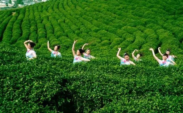 南京这些超适合一日游的地方,每一个都美如画!不看要后悔!