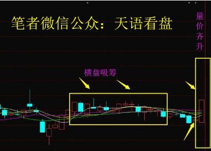 次新股第一龙头再度崛起，遭主力87亿抢筹，6月有望赶超东方嘉盛